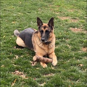 Meet your Posher, Mark